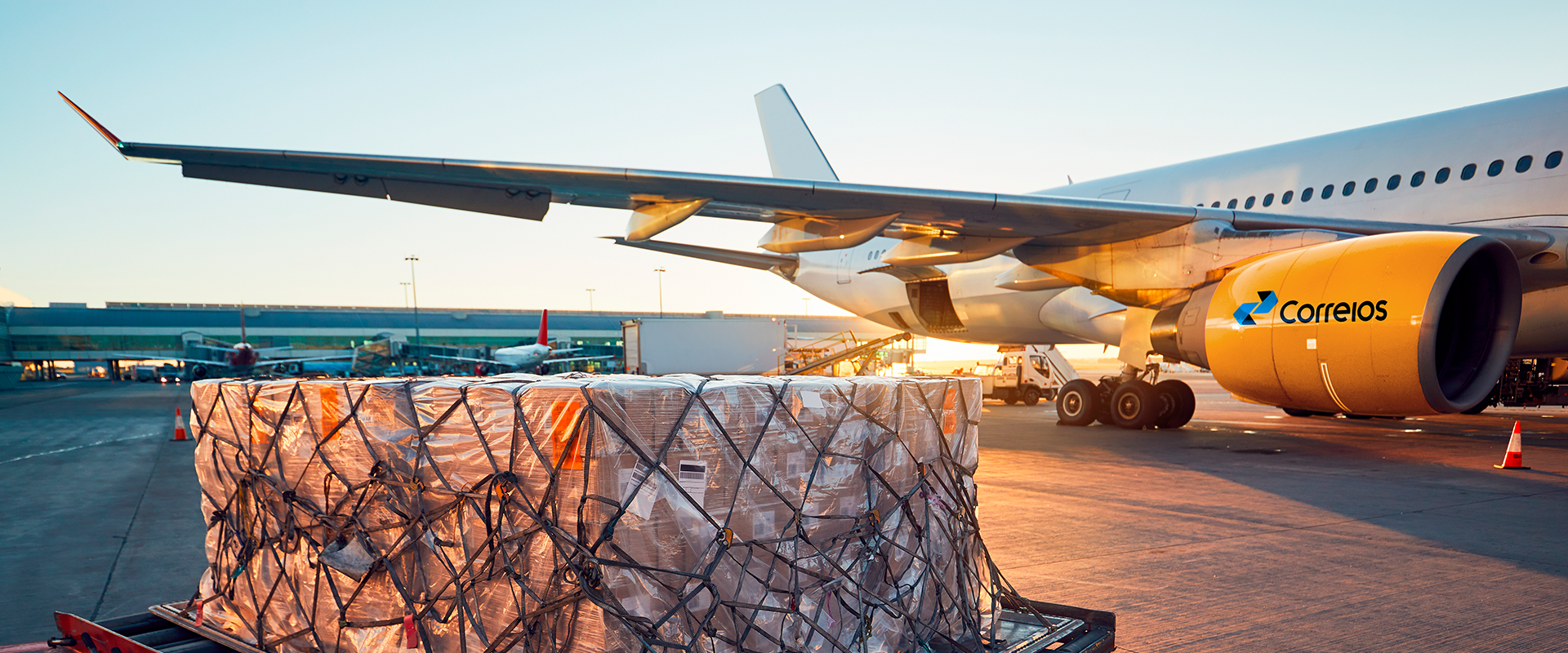 Packages being transported into a airplane with Correios branding